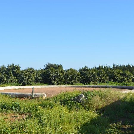 Quinta Das Figueiras Вила Нова де Касела Екстериор снимка