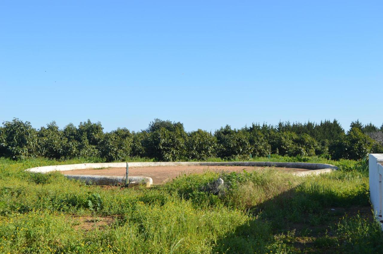 Quinta Das Figueiras Вила Нова де Касела Екстериор снимка